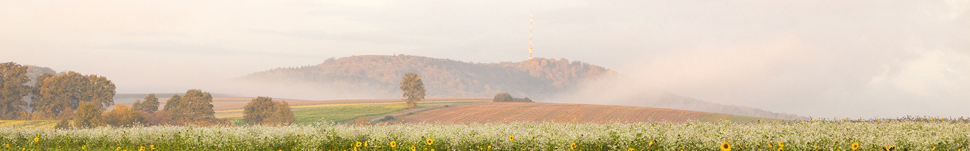 Header flach Hesselberg