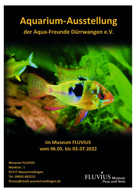 Aquarium-Ausstellung Sonderausstellung FLUVIUS